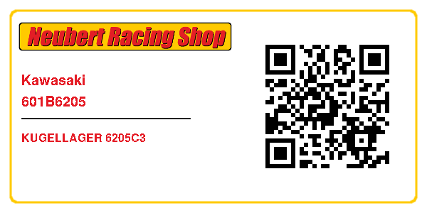 Kawasaki 601B6205