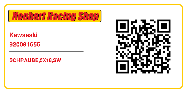 Kawasaki 920091655