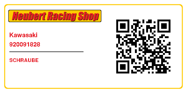 Kawasaki 920091828