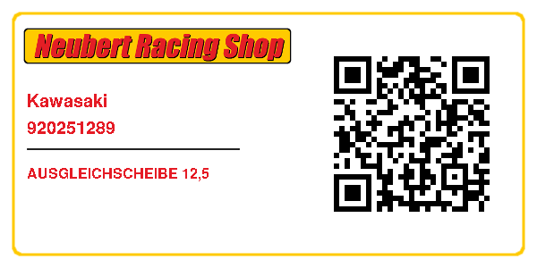 Kawasaki 920251289