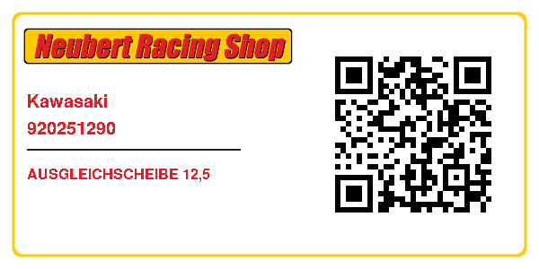 Kawasaki 920251290
