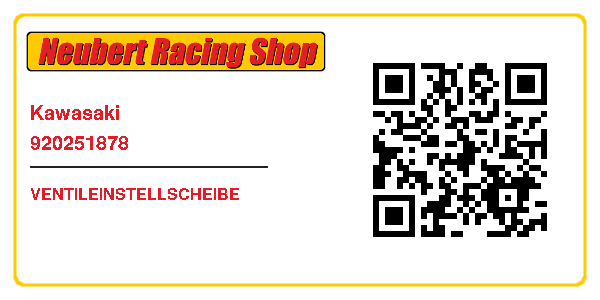 Kawasaki 920251878