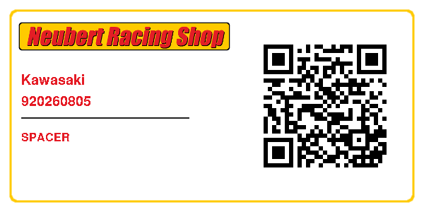 Kawasaki 920260805