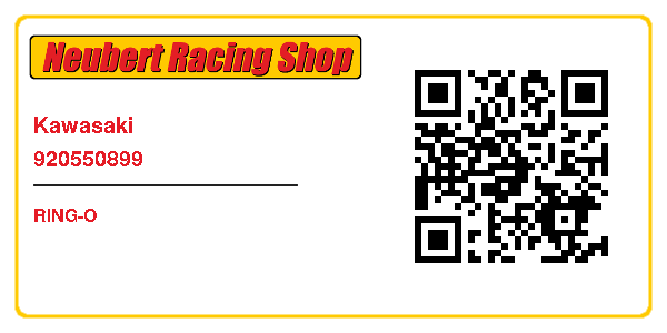 Kawasaki 920550899