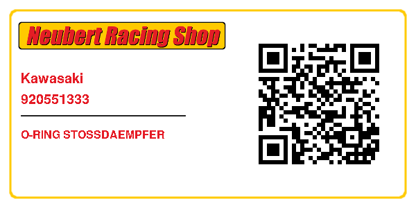 Kawasaki 920551333