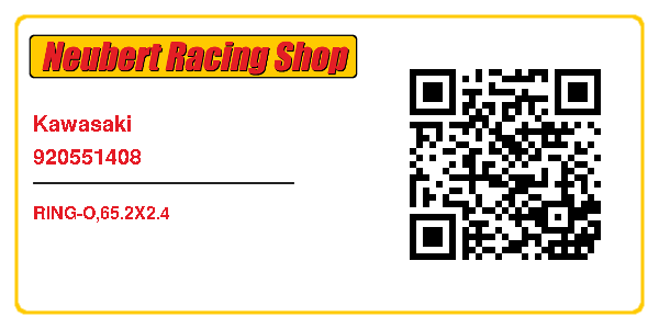 Kawasaki 920551408