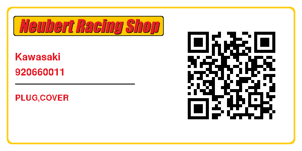 Kawasaki 920660011
