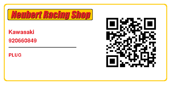 Kawasaki 920660849