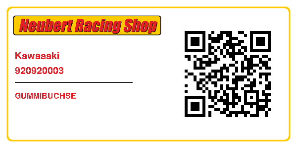 Kawasaki 920920003