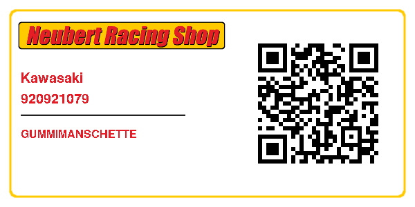 Kawasaki 920921079