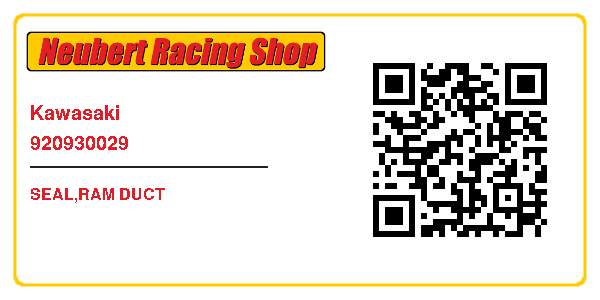 Kawasaki 920930029