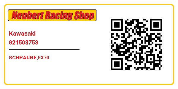 Kawasaki 921503753