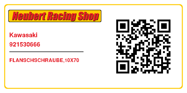 Kawasaki 921530666