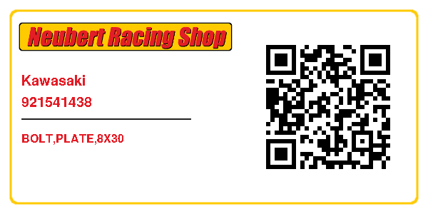 Kawasaki 921541438