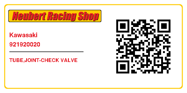 Kawasaki 921920020