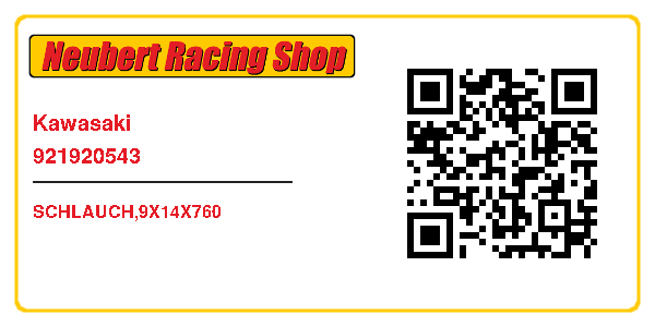 Kawasaki 921920543