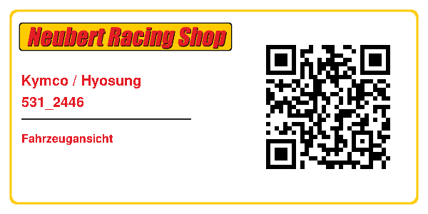 Kymco / Hyosung 531_2446