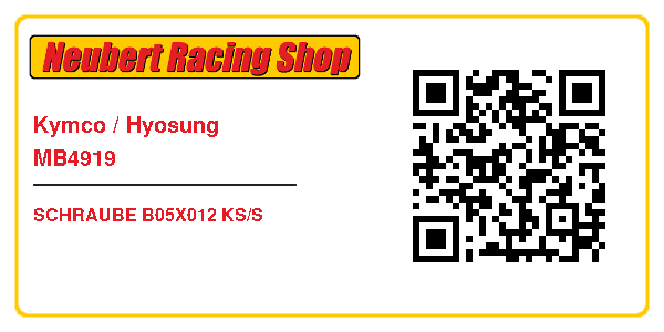 Kymco / Hyosung MB4919