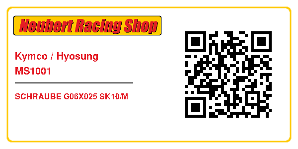 Kymco / Hyosung MS1001