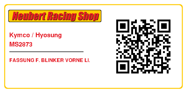Kymco / Hyosung MS2873