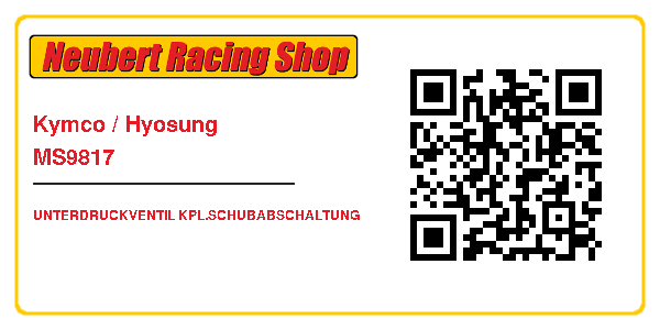 Kymco / Hyosung MS9817