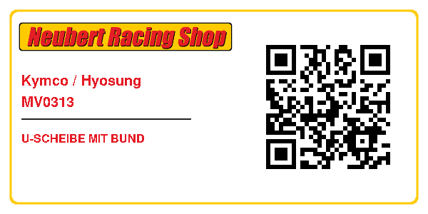 Kymco / Hyosung MV0313