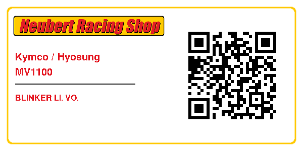 Kymco / Hyosung MV1100