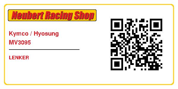 Kymco / Hyosung MV3095
