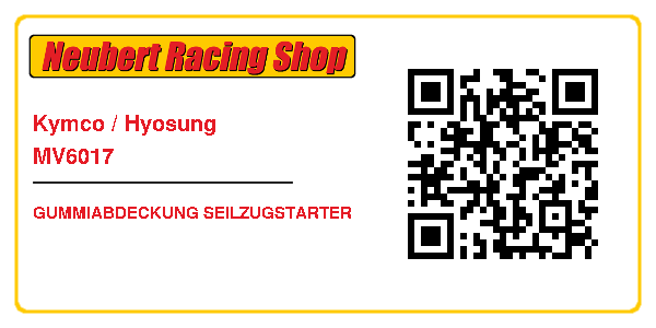 Kymco / Hyosung MV6017