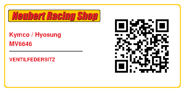 Kymco / Hyosung MV6646