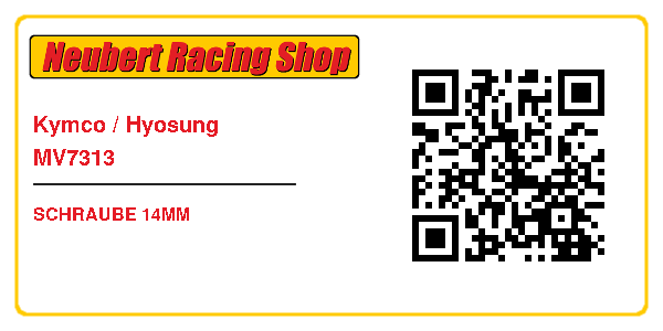Kymco / Hyosung MV7313