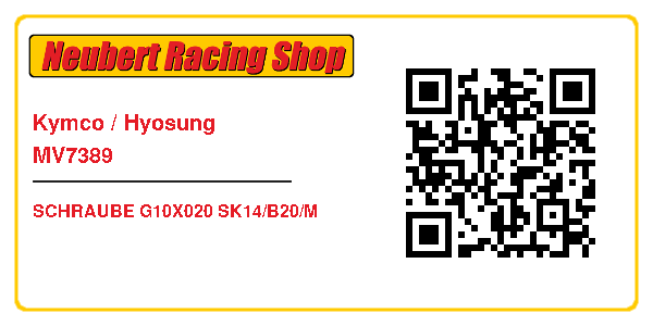 Kymco / Hyosung MV7389
