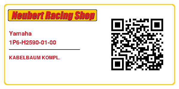 Yamaha 1P6-H2590-01-00