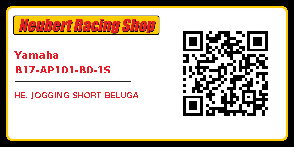 Yamaha B17-AP101-B0-1S