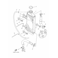 KUEHLER & SCHLAEUCHE
