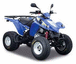 Quads / ATV - Quads / ATV