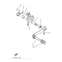 SCHALTWELLE & SCHALTPEDAL