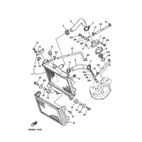 KUEHLER & SCHLAEUCHE