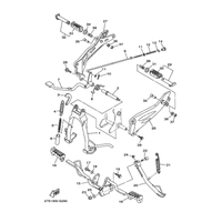 STAENDER & FUSSRASTE