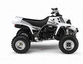 2006 - ATV