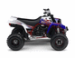 2010 - ATV