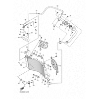 KUEHLER & SCHLAEUCHE