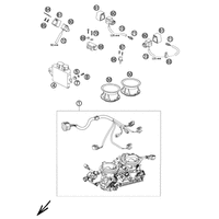 DROSSELKLAPPENKOERPER