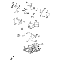 DROSSELKLAPPENKOERPER