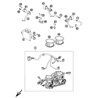 DROSSELKLAPPENKOERPER