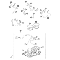 DROSSELKLAPPENKOERPER