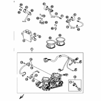 DROSSELKLAPPENKOERPER