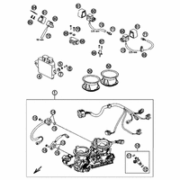 DROSSELKLAPPENKOERPER