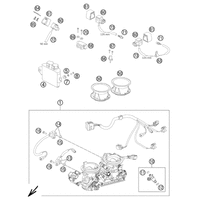 DROSSELKLAPPENKOERPER
