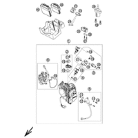DROSSELKLAPPENKOERPER